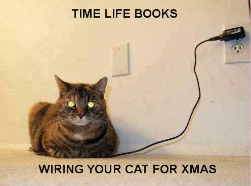 wiring-your-cat.jpg