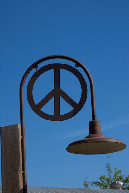 d3-pm-12.jpg