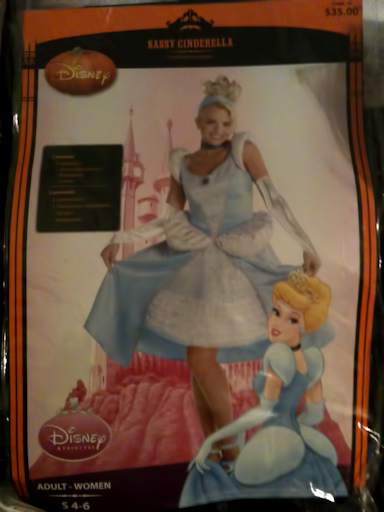 Cinderella-vi.jpg