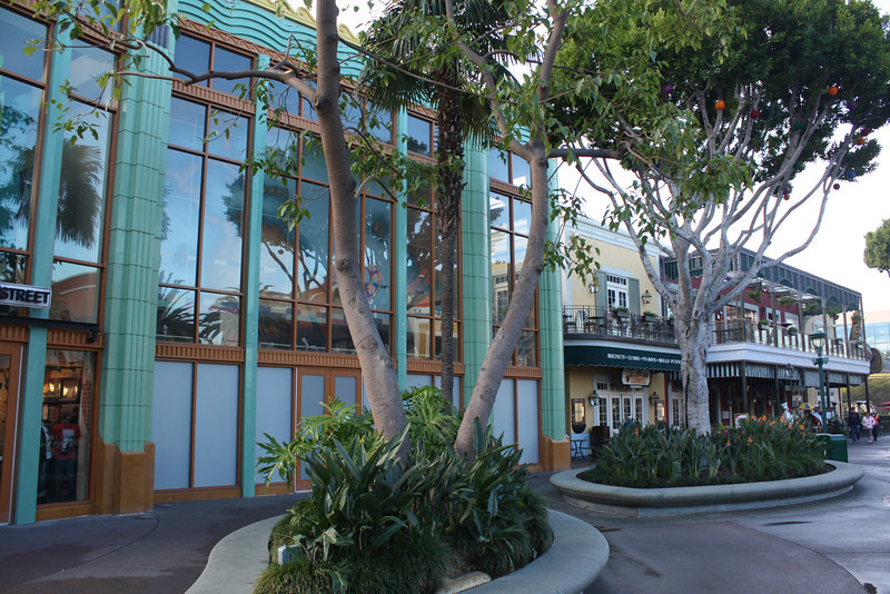 IMG9115-L.jpg