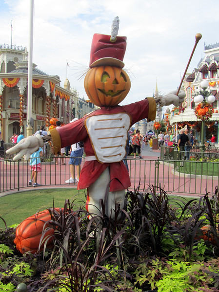 IMG_2459-L.jpg