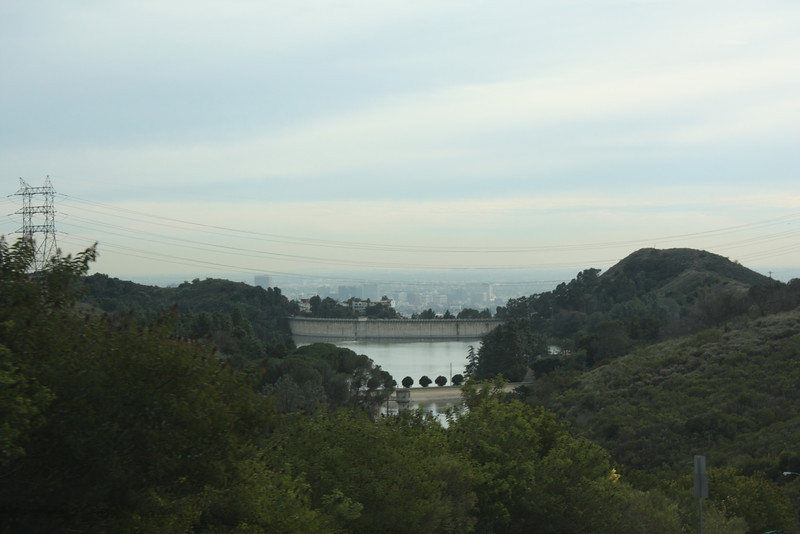 IMG0971-L.jpg