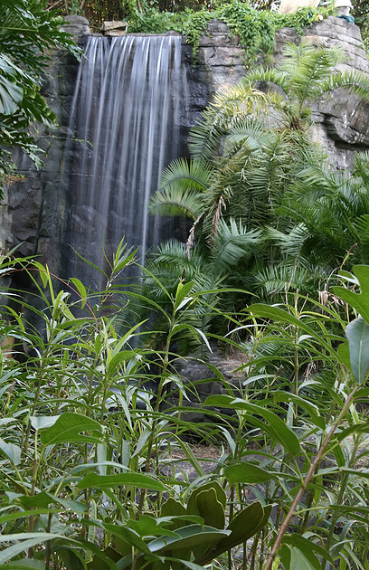 p919454777-4.jpg