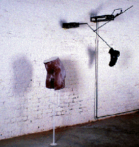 roxy1.gif