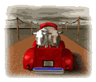 32411345.gif