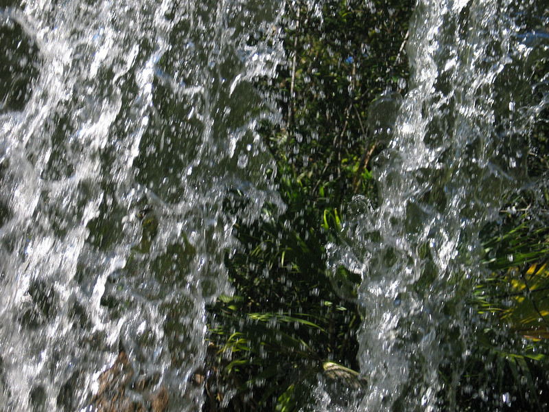 IMG6702-L.jpg