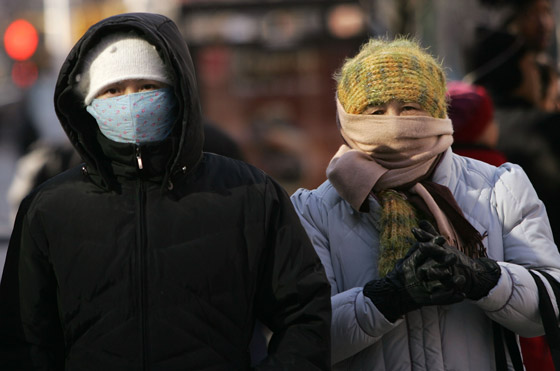 20070205cold.jpg