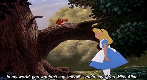 tumblr_lu3pwqCf8c1qm6oc3o1_500.gif