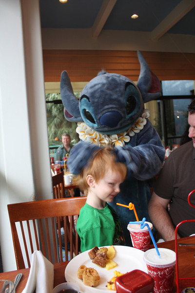 IMG0708-L.jpg
