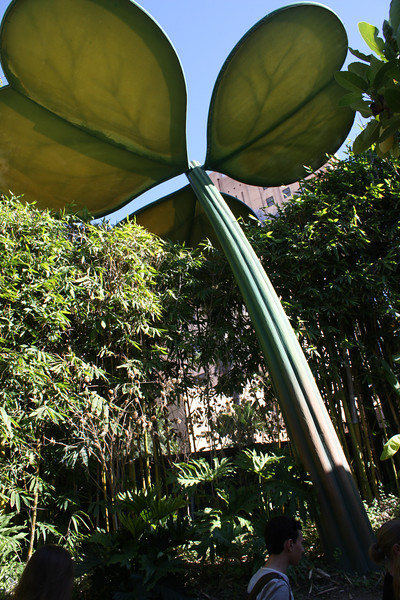 IMG0200-L.jpg