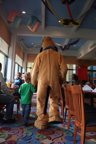 IMG0729-L.jpg