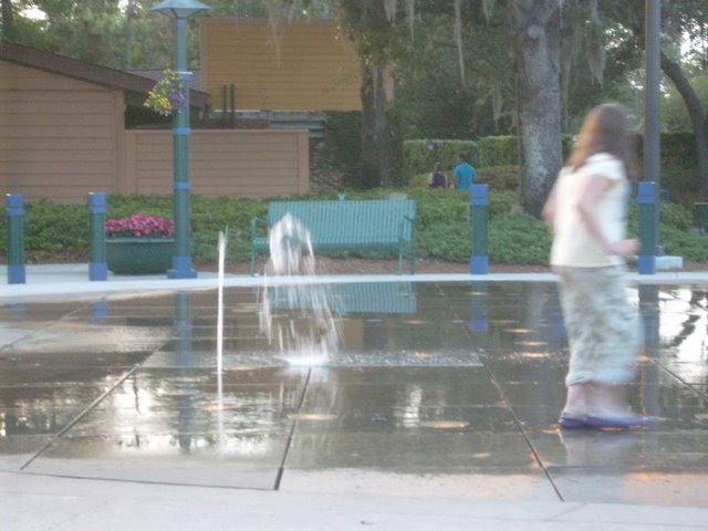 S6300577.JPG