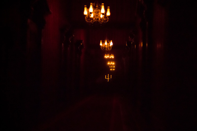 DSC_2498-L.jpg