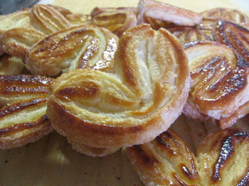 elephant-ear.jpg
