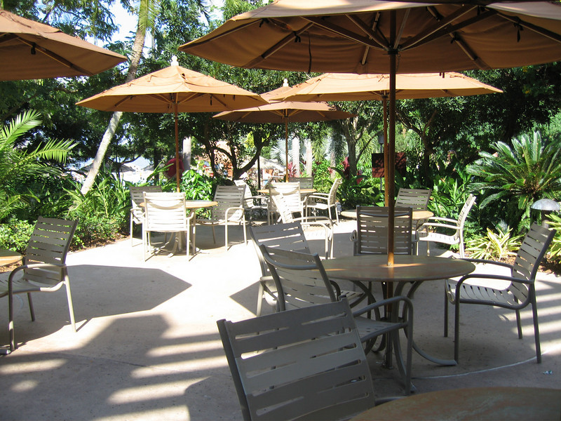 WDW%20272-L.jpg