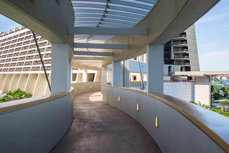 DSC_2325-L.jpg