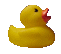 duckling.gif
