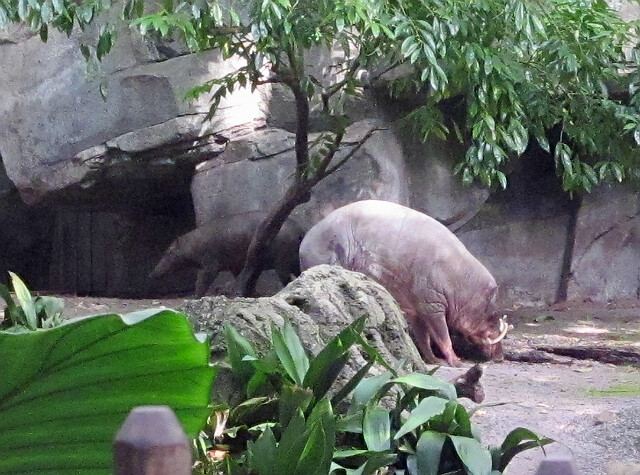 8711823811_d7bd7c9241_z.jpg