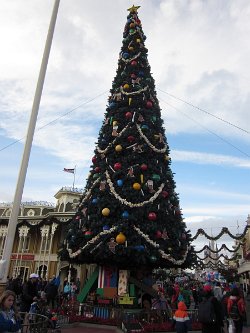 IMG_2807.JPG