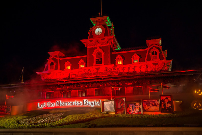 DSC_2971-L.jpg