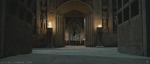tumblr_lkcylqHDca1qa01xbo1_500.gif