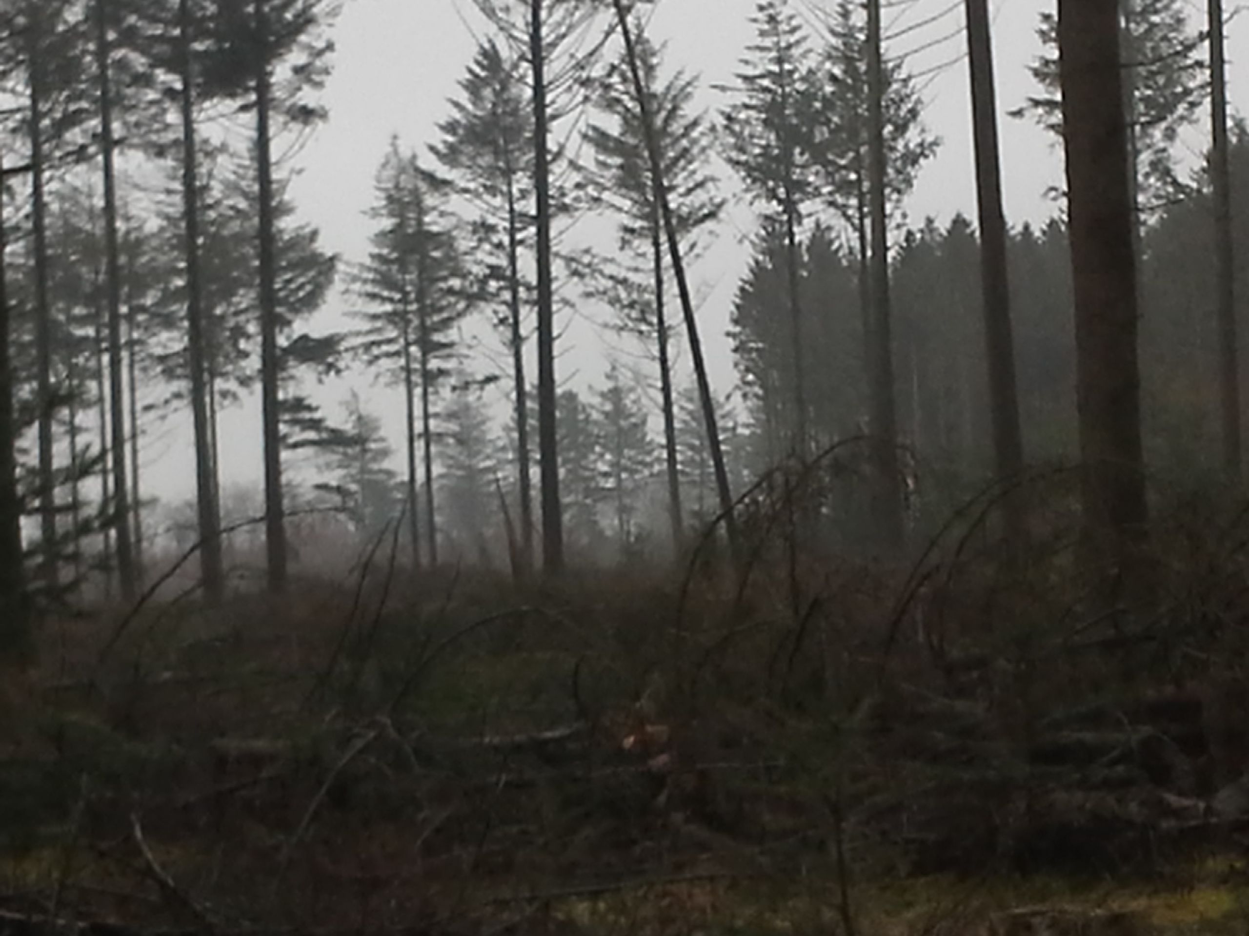 20150306-114255-2.jpg
