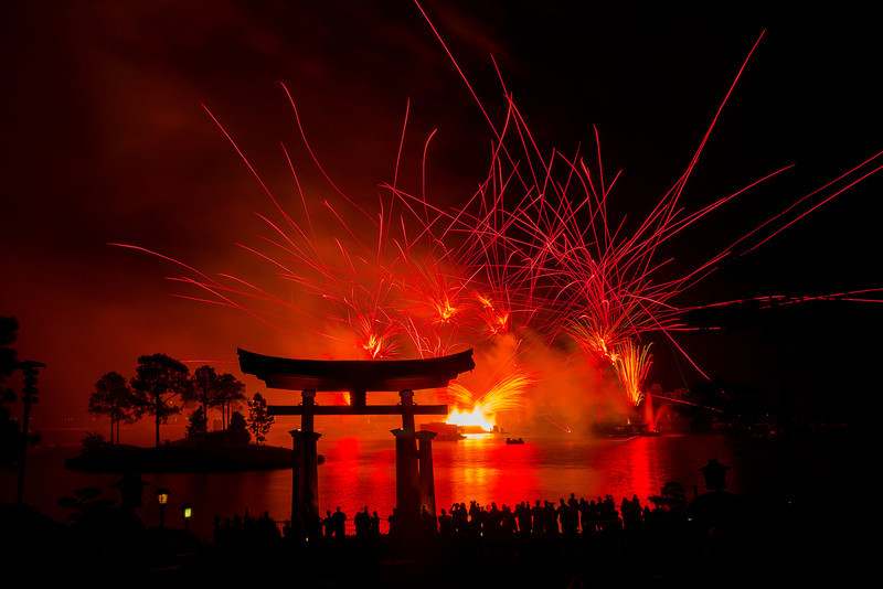 DSC_6238-L.jpg