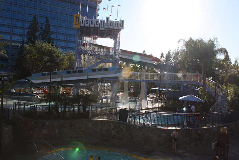 IMG0257-L.jpg