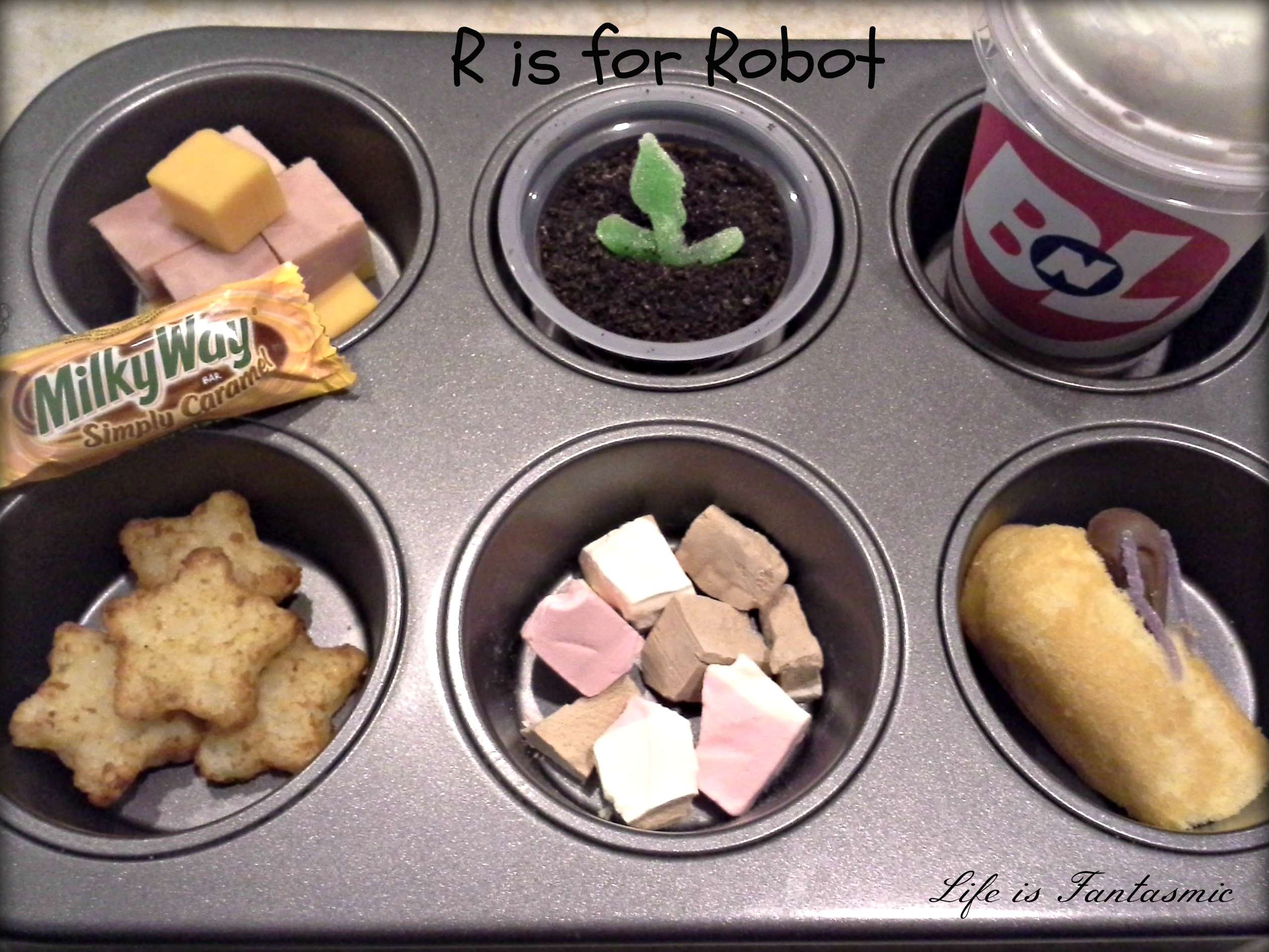 risforrobotm.jpg