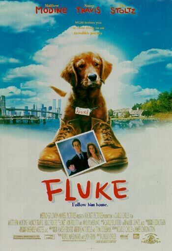 fluke.jpg