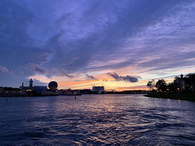 49540542992_7155b87e1d_z.jpg