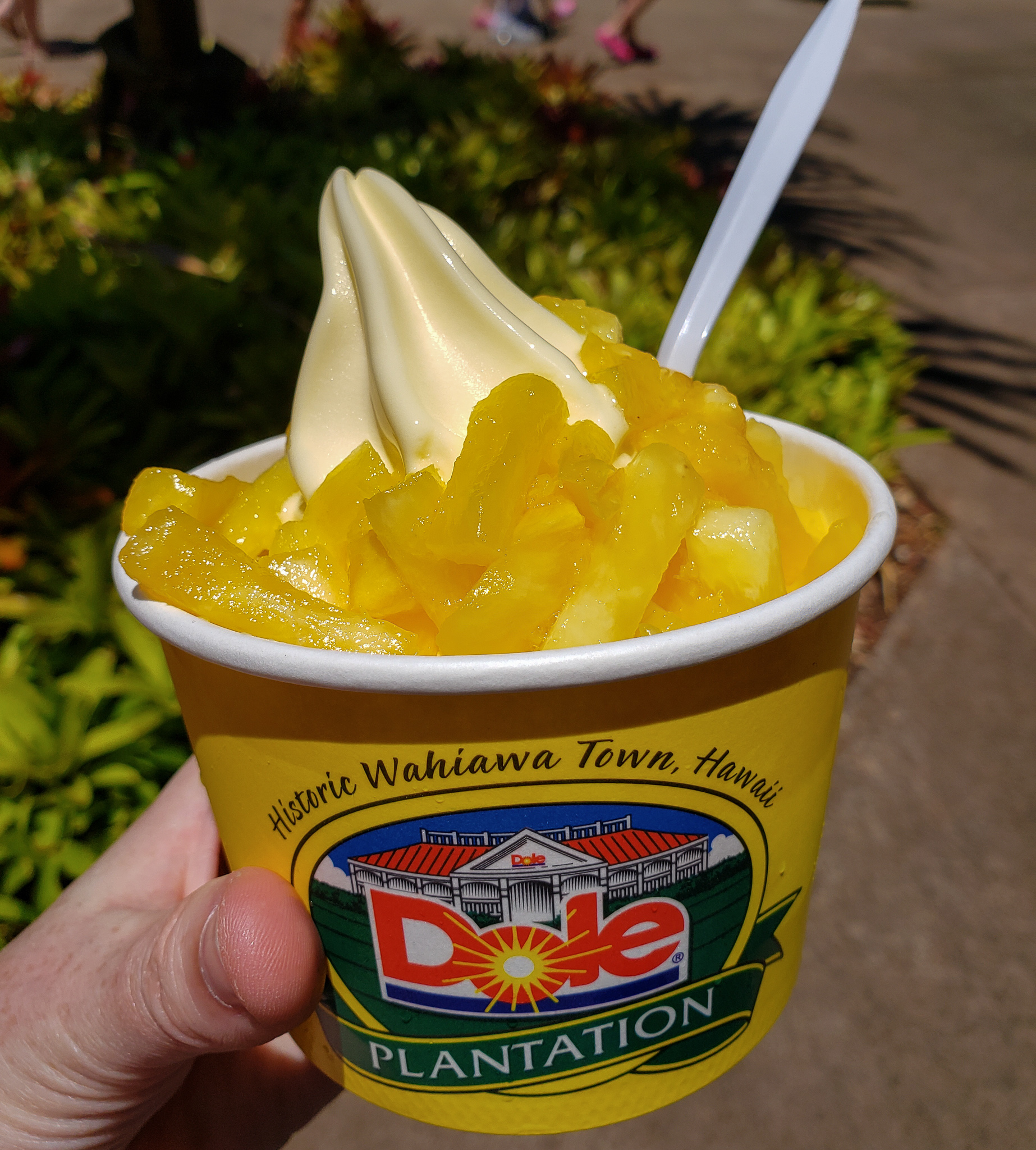 Dole-whip.jpg