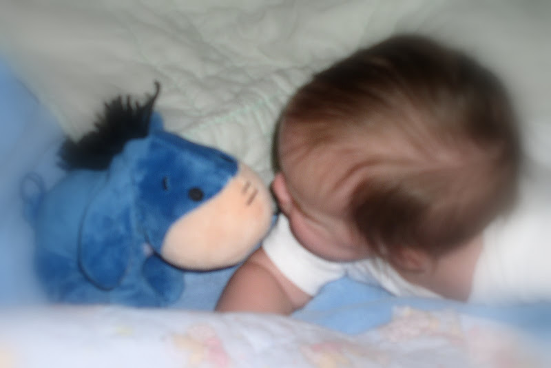 P1010017.JPG.jpg