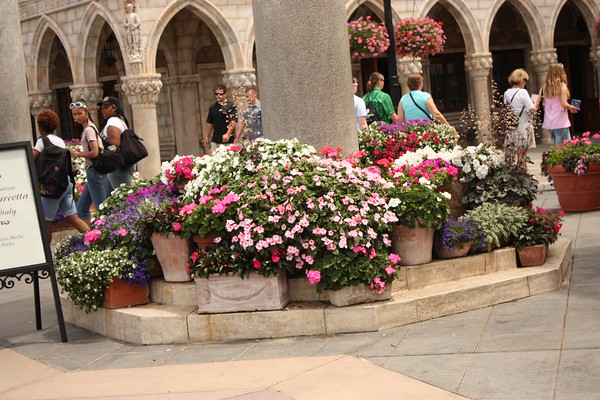 515771663_jAheN-M.jpg