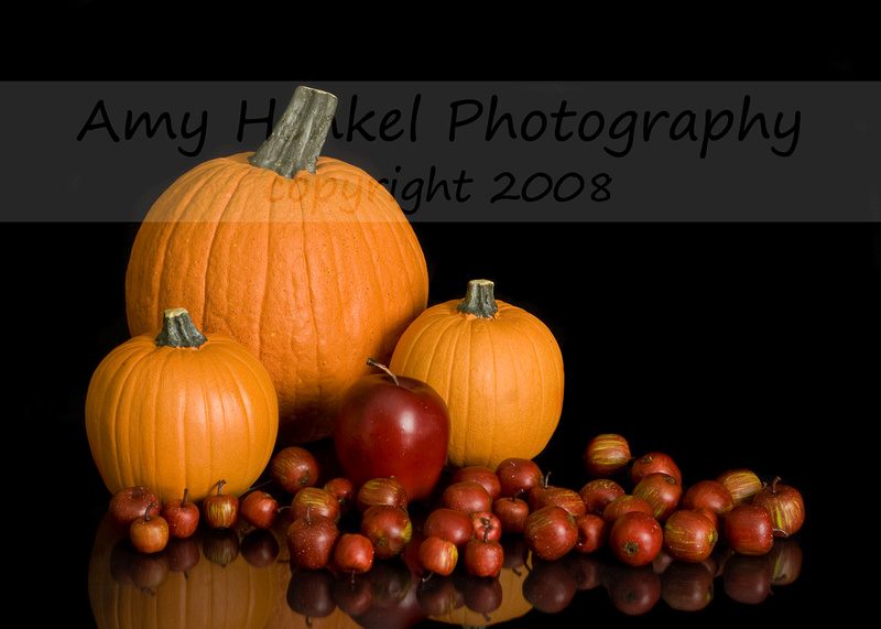 p550182314-4.jpg