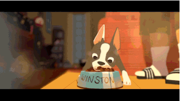 giphy.gif