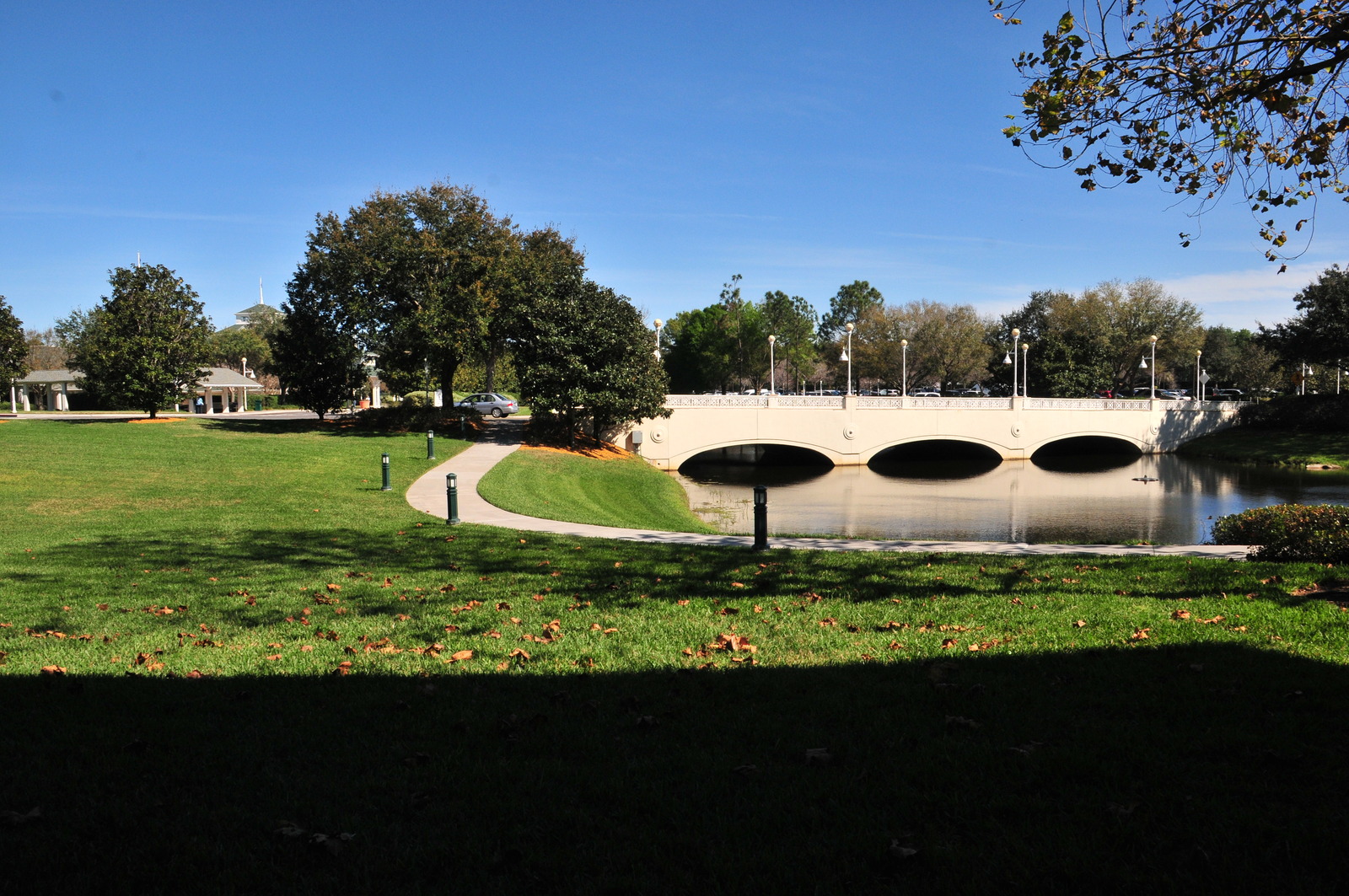 1121_sm.jpg
