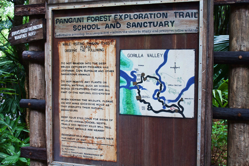 9525ed1-XL.jpg