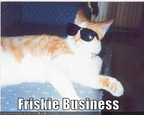 friskiebusine128528435552812500.jpg