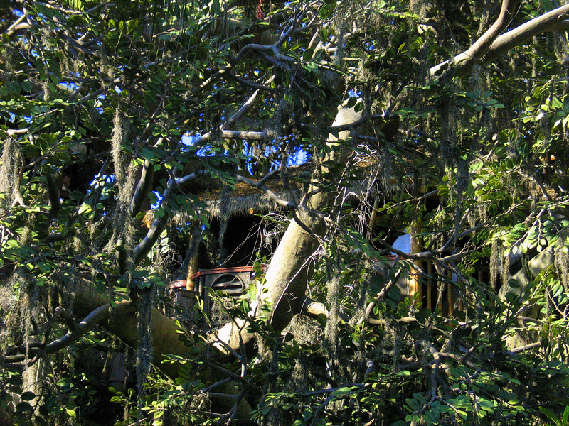 IMG8438-L.jpg