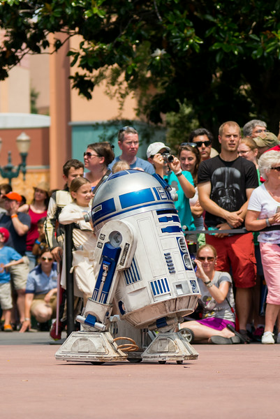 DSC_6366-L.jpg