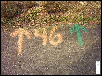 number46.jpg