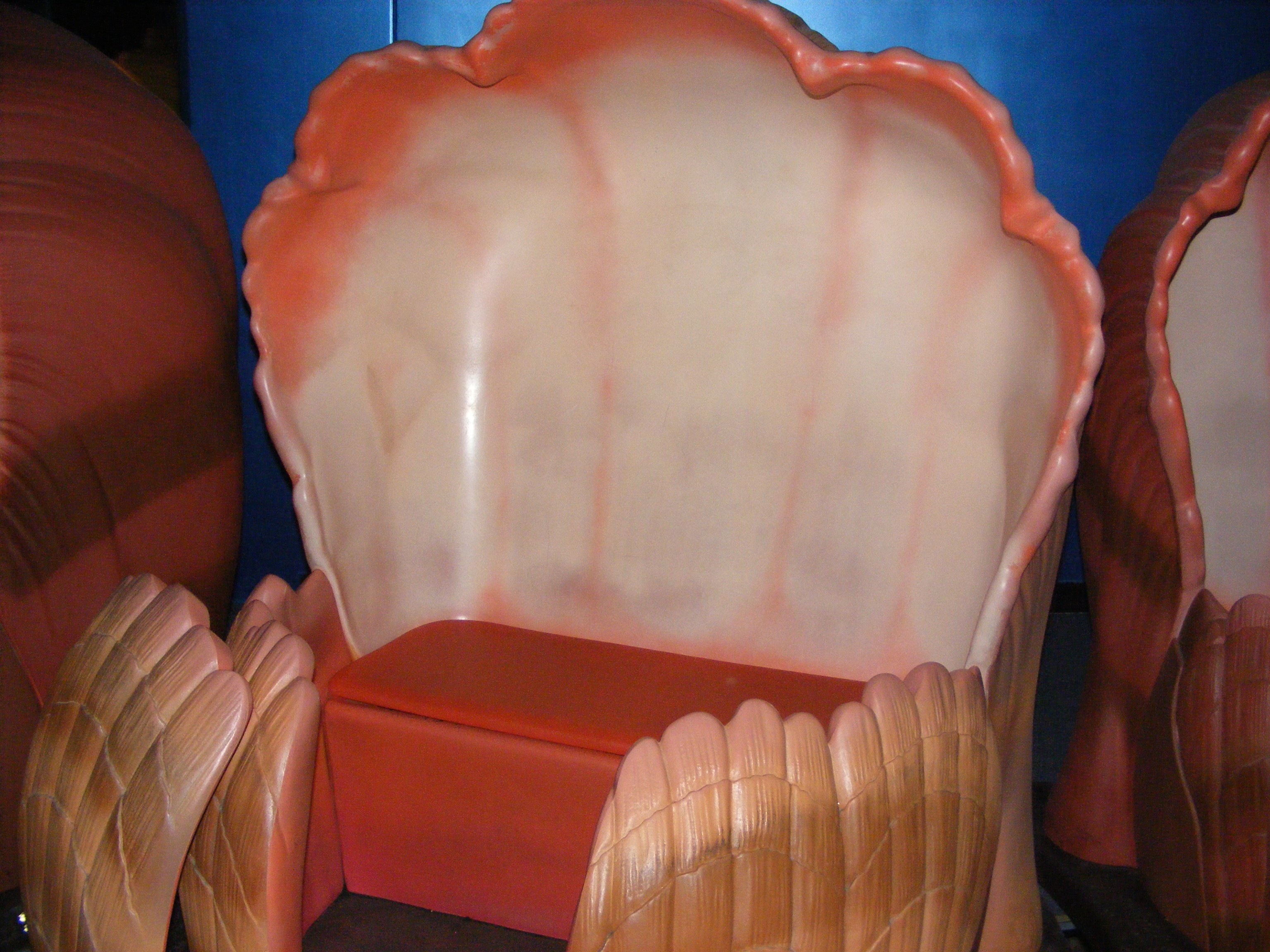 DSCF3764.jpg