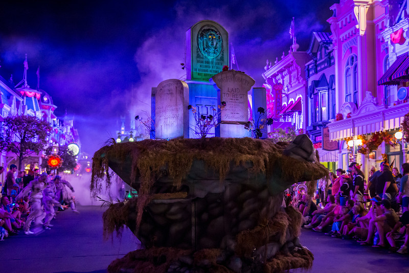 DSC_2848-L.jpg