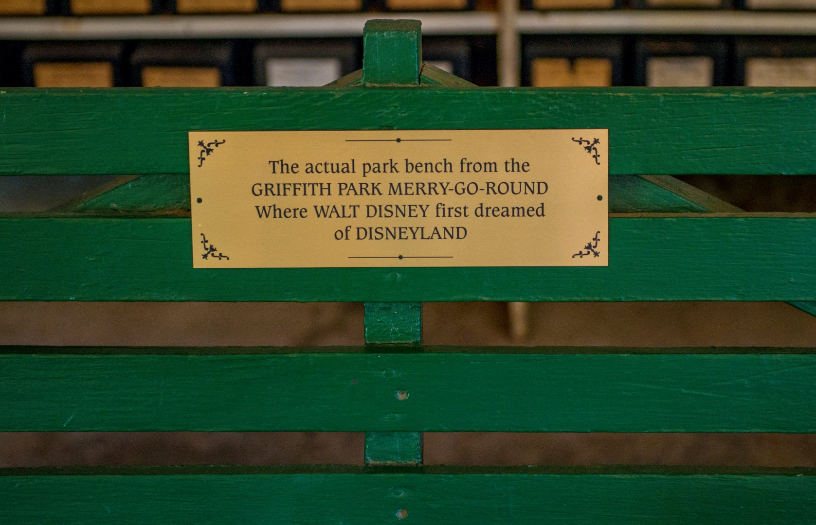DSC_7329%20(Large).jpg