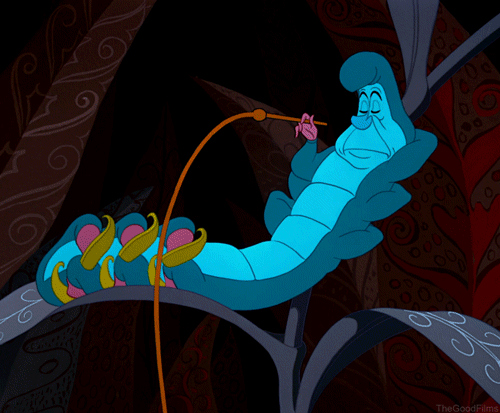 tumblr_mylf27qyZT1sb1ir6o1_500.gif