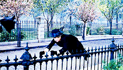 tumblr_o4ey2wIsi81qb0i4vo3_250.gif
