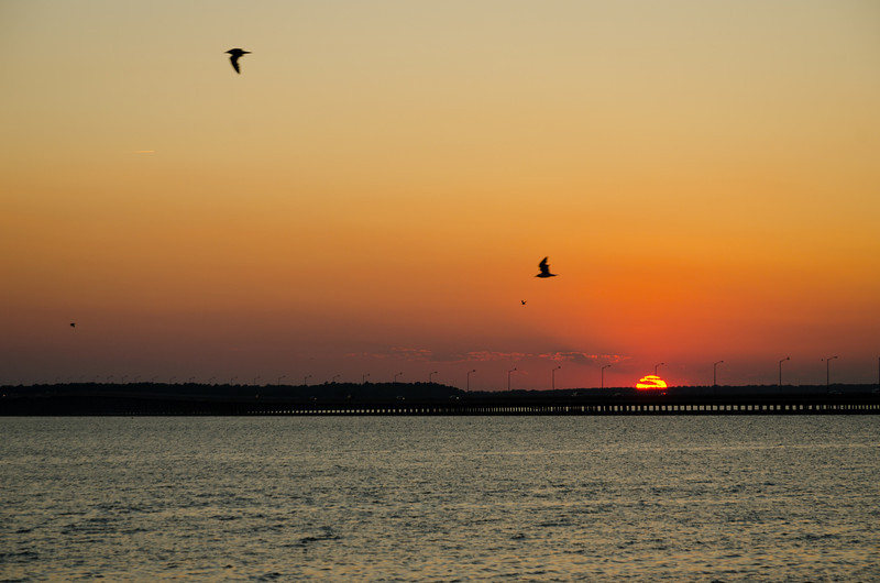 DSC7058-L.jpg