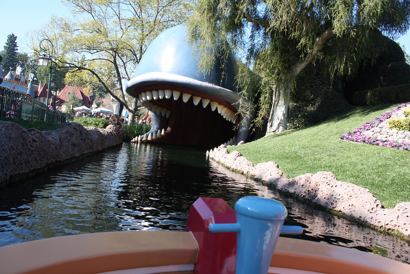 IMG9308-L.jpg