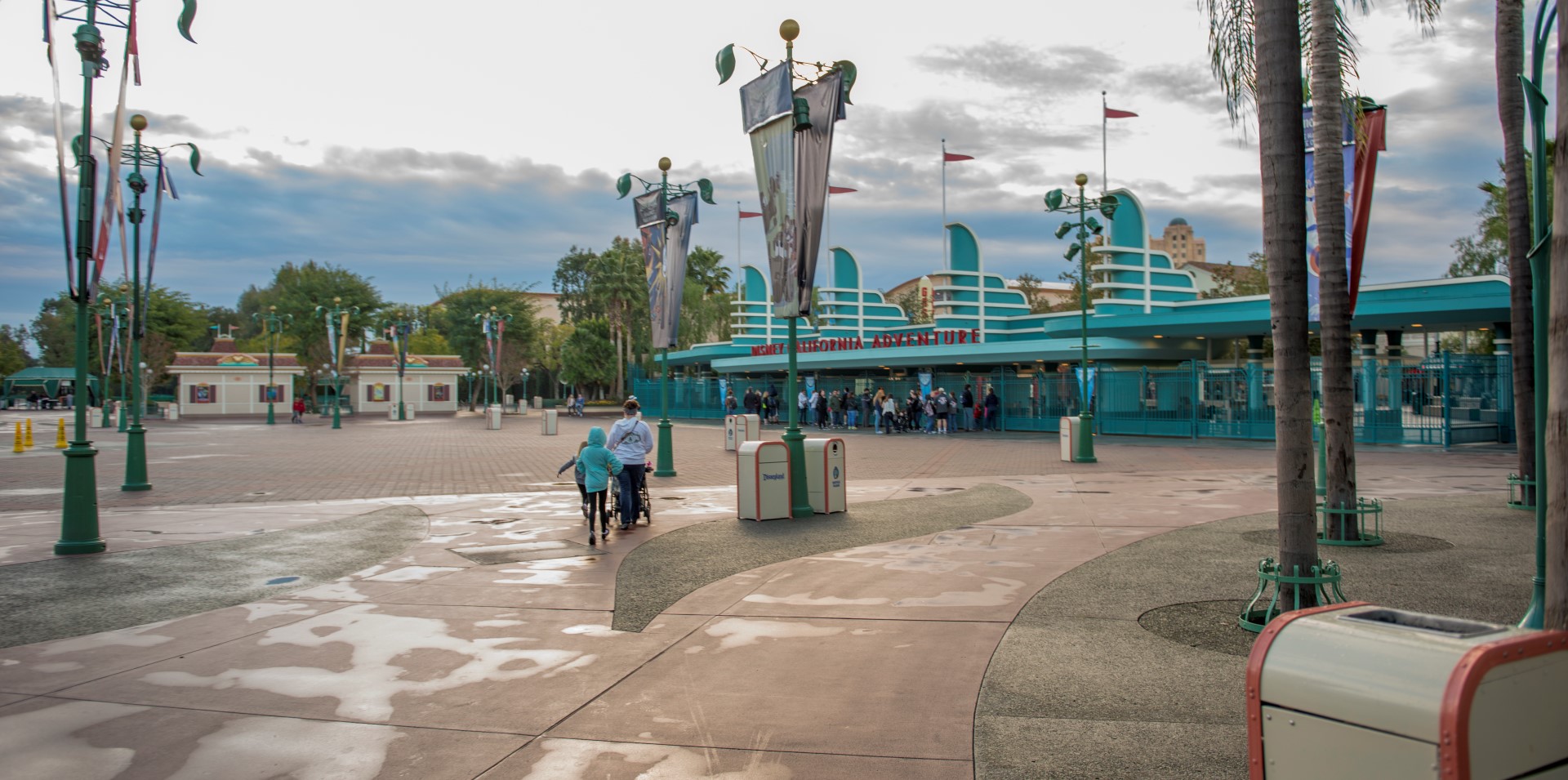 DSC_1923%20(Large).jpg